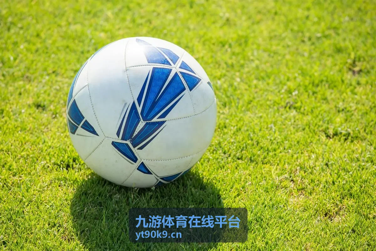 九游体育在线平台在线使用步骤图