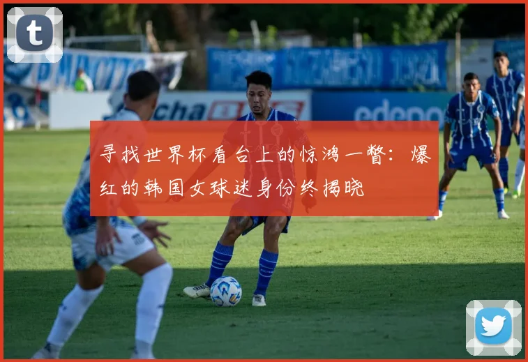 寻找世界杯看台上的惊鸿一瞥：爆红的韩国女球迷身份终揭晓
