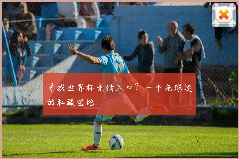 寻找世界杯竞猜入口？一个老球迷的私藏宝地